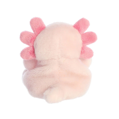 Axolotl